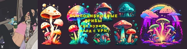 ECSTASY Алзамай