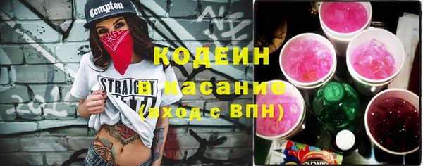 ECSTASY Алзамай