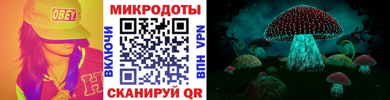 MEGA зеркало  Мураши  Псилоцибиновые грибы прущие грибы 